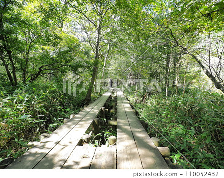Kamikochi Kappa Bridge - Myojin Pond Nature Exploration Path Wooden Path October 110052432