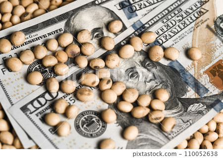 Dollars banknotes and coins and soy beans, commoditi value concept. Dollars banknotes and coins and soy beans, commoditi value concept. 110052638