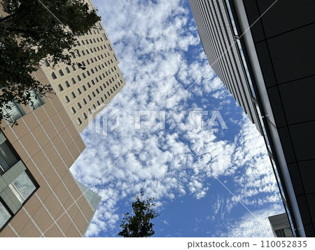 Landscape of cirrocumulus clouds and urban skyscrapers 110052835