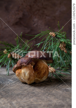 Group of Imleria Badia or Boletus badius mushrooms commonly known as the bay bolete on vintage wooden background.. Group of Imleria Badia or Boletus badius mushrooms commonly known as the bay bolete on vintage wooden background.. 110052879
