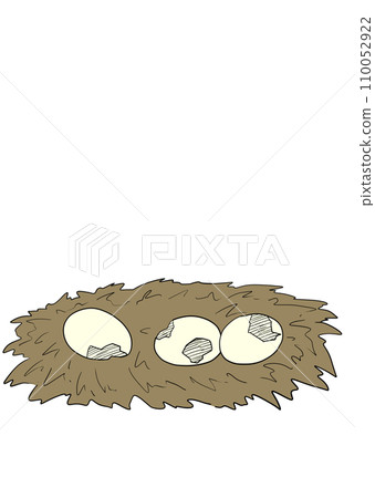 破碎的鴞鸚鵡蛋的插圖 110052922