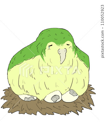 一隻悲傷的鴞鸚鵡的蛋被攻擊的插圖 110052923