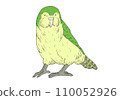 笑臉鴞鸚鵡的插圖 110052926