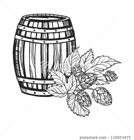 Hand drawn vector sketch of wooden barrel and hop plant with leaves and buds, beer ingredients, black and white illustration of textured wood oak keg, inked illustration isolated on white background 110053475