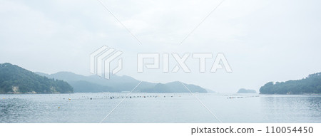 Panoramic view of the sea in the morning mist 110054450