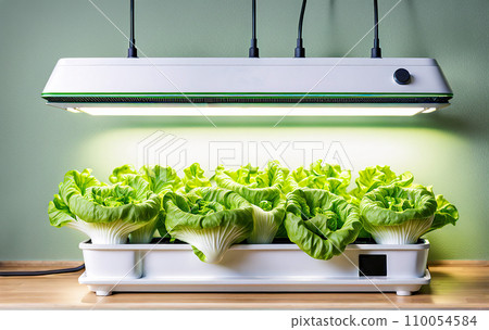 AI-generated content. Aeroponics and hydroponics are eco-friendly. Installation for growing plants in house and anywhere. Greening technologies for home and space. Sprouts in pots under a lamp 110054584
