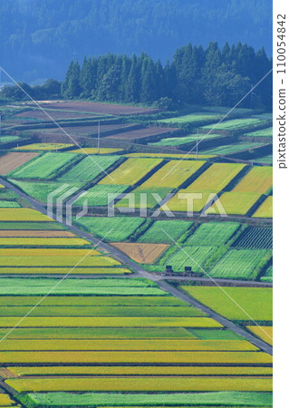 從山本山高原（新潟縣）眺望的景色 110054842