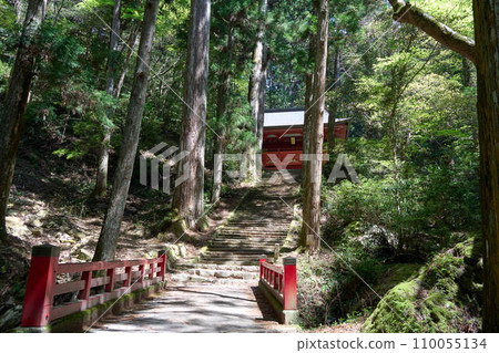 [蓬萊寺山] 1000多級石階通往蓬萊寺 110055134