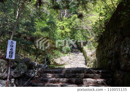[蓬萊寺山] 1000多級石階通往蓬萊寺 110055135