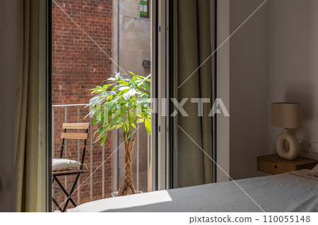 Houseplant on sunny terrace view from bedroom window 110055148