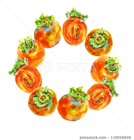 Template of persimmon orange fruit with leaves. Watercolor hand-drawn elements. Isolated on white background. Delicious fruit clip-art illustration. Used on labels, napkins, towels, tableware, package Template of persimmon orange fruit with leaves. Watercolor hand-drawn elements. Isolated on white background. Delicious fruit clip-art illustration. Used on labels, napkins, towels, tableware, package 110056608