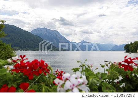 Flowers on the background of Lake Traunsee in Gmunden, Austria 110057298