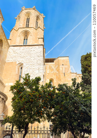 Facade of Tarragona Cathedral, Catalonia, Spain. Facade of Tarragona Cathedral, Catalonia, Spain. 110057469