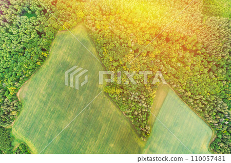 Aerial View Of Field And Deforestation Area Zone Landscape. Top View Of Field And Green Pine Forest Landscape. Large-scale Industrial Deforestation To Expand Agricultural Fields 110057481