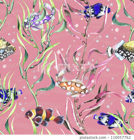 Watercolor different fishes in the seaweeds. Underwater life. Pink background 110057762