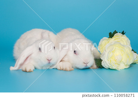 Two white decorative fold rabbits and flowers Two white decorative fold rabbits and flowers 110058271