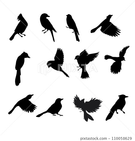 Silhouettes of wild birds set isolated on white background 110058629