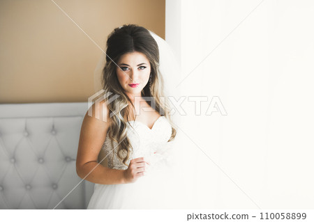 Luxury bride in white dress posing while preparing for the wedding ceremony Luxury bride in white dress posing while preparing for the wedding ceremony 110058899