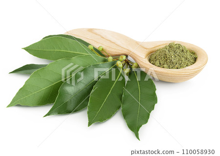 Fresh and ground Laurel leaves in wooden spoon isolated on white background. Green bay leaf 110058930