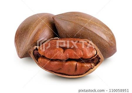 broken pecan nut isolated on white background with full depth of field broken pecan nut isolated on white background with full depth of field 110058951