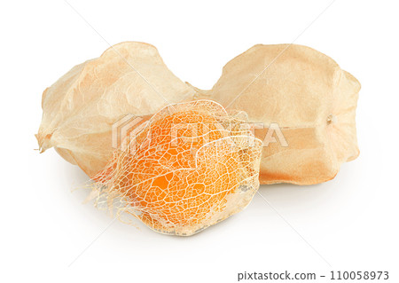 Cape gooseberry or physalis isolated on white background wit full depth of field 110058973