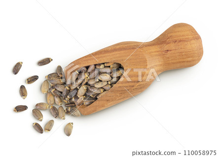 Seeds of a milk thistle or Silybum marianum, Scotch Thistle, Marian thistle in wooden scoop isolated on white background. Top view. Flat lay Seeds of a milk thistle or Silybum marianum, Scotch Thistle, Marian thistle in wooden scoop isolated on white background. Top view. Flat lay 110058975