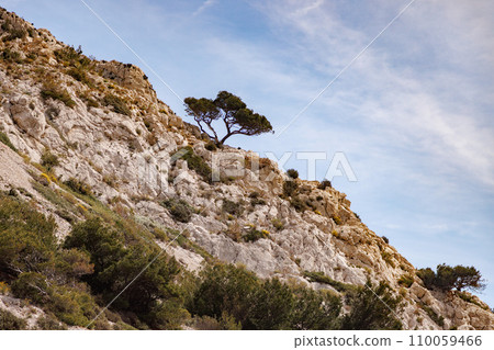 Slope of a rocky island running diagonally with trees. Slope of a rocky island running diagonally with trees. 110059466