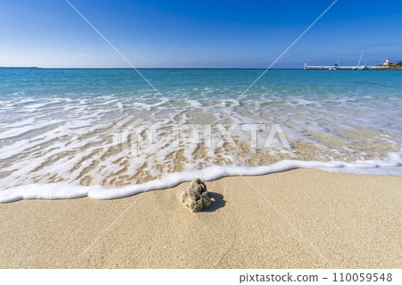 沖繩縣名護市Busena海洋公園的白色沙灘和藍色大海,被沖走的珊瑚 沖繩縣名護市Busena海洋公園的白色沙灘和藍色大海,被沖走的珊瑚 110059548
