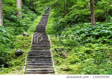 Dewasanzan Shrine in early summer, a row of cedar trees on Mt. Haguro and Mamakozaka, Tsuruoka City, Yamagata Prefecture Dewasanzan Shrine in early summer, a row of cedar trees on Mt. Haguro and Mamakozaka, Tsuruoka City, Yamagata Prefecture 110059590