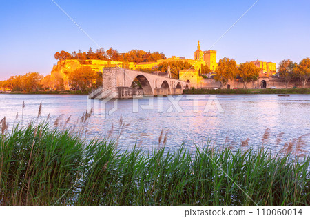 Famous Avignon Bridge, France Famous Avignon Bridge, France Famous Avignon Bridge, France Famous Avignon Bridge, France 110060014