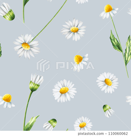 Watercolor seamless pattern with white daisy flowers illustration isolated on white background. Chamomile. Detail of beauty products and botany set, cosmetology and medicine. For designers, spa Watercolor seamless pattern with white daisy flowers illustration isolated on white background. Chamomile. Detail of beauty products and botany set, cosmetology and medicine. For designers, spa 110060062