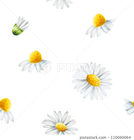 Watercolor seamless pattern with white daisy flowers illustration isolated on white background. Chamomile. Detail of beauty products and botany set, cosmetology and medicine. For designers, spa 110060064
