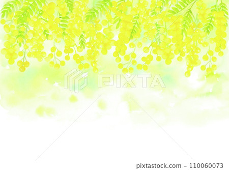 Watercolor illustration of beautiful blooming mimosa. Spring-like botanical frame. 110060073