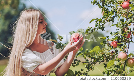 A young woman plucks an apple from a tree and eats it. A young woman plucks an apple from a tree and eats it. 110060259