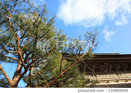 掛著雪的松樹和總持寺的正門（日本石川縣輪島市門前町） 110060699
