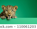 AI-generated content. Leopard portrait isolated on green background. Banner with a leopard and copy space. 110061203