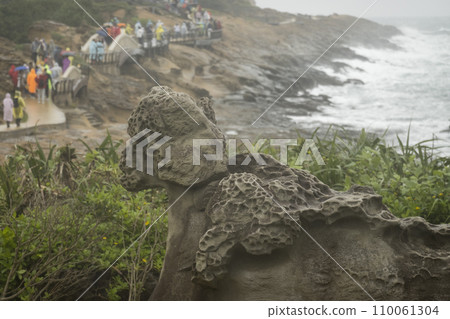 Tourists staring at a leopard-like rock Tourists staring at a leopard-like rock 110061304