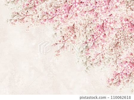 Spring background material with cherry blossoms in full bloom Spring background material with cherry blossoms in full bloom 110062618