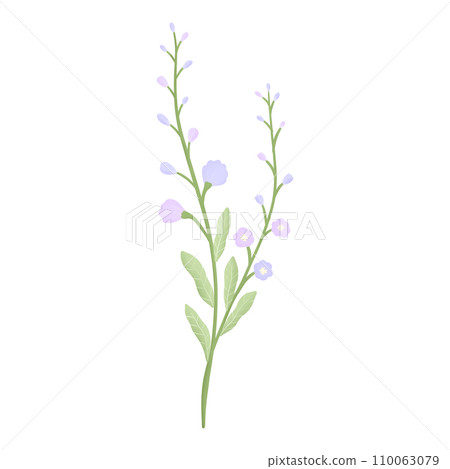 purple flower blossom 110063079