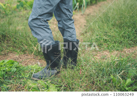 rubber boots, wellies, paw 110063249