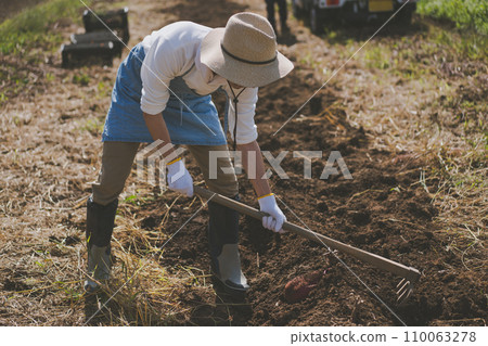 farmer, field, gents 110063278