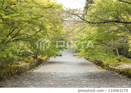 Arashiyama, Kyoto - Nison-in Road - Arashiyama, Kyoto - Nison-in Road - 110063279