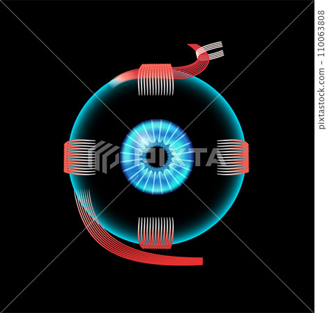 Extraocular muscles anatomy 110063808