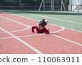 child falling down 110063911