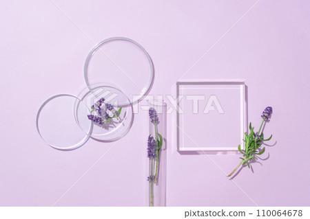 Lavender blooms, both fresh and dried, featured against a pastel purple backdrop with glassware. Lavender extract, a beauty essential. Creative space for branding. Lavender blooms, both fresh and dried, featured against a pastel purple backdrop with glassware. Lavender extract, a beauty essential. Creative space for branding. 110064678