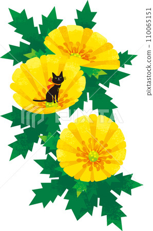 Fukujuso and black cat Fukujuso and black cat 110065151