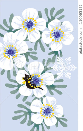 snow warikusa and black cat 110065152