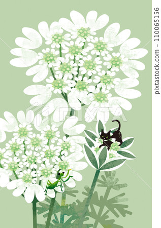 奧拉雅和黑貓 110065156