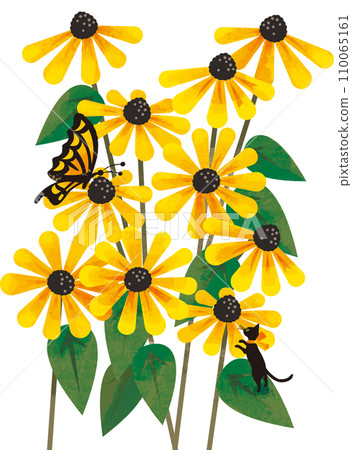 金光菊和黑貓 金光菊和黑貓 110065161