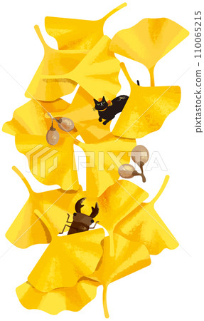 Fallen leaves and black cat 110065215